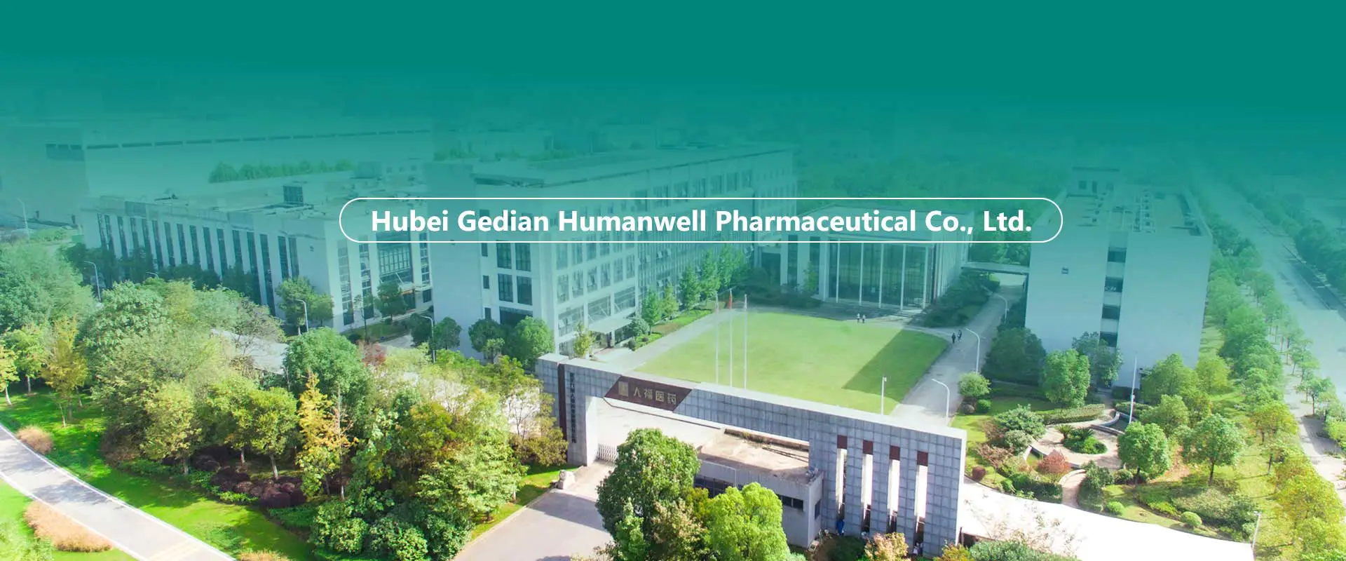 Txinako APIak, bitartekoak, formulazioen fabrika